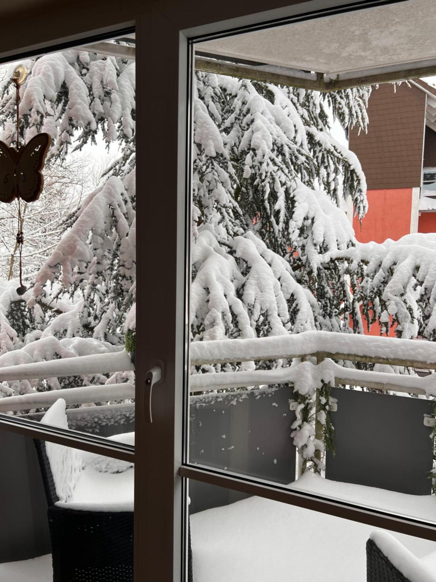 Harz-Rose Apartment Braunlage Exterior photo